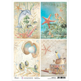 copy of 